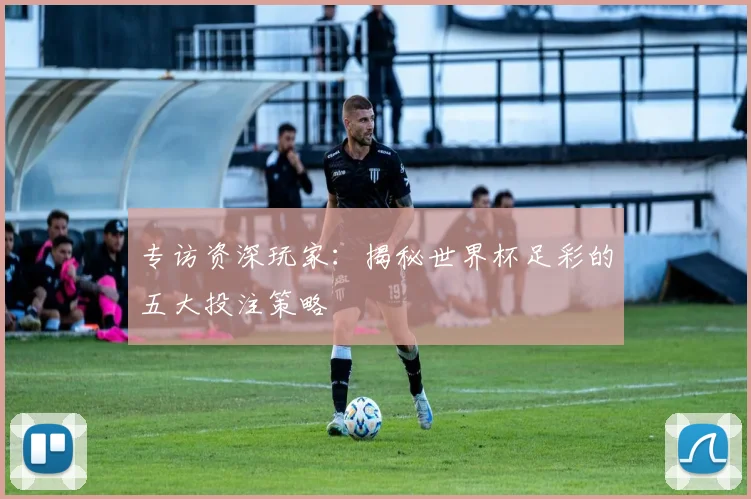 专访资深玩家：揭秘世界杯足彩的五大投注策略