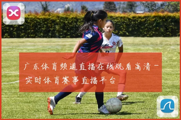 广东体育频道直播在线观看高清 - 实时体育赛事直播平台